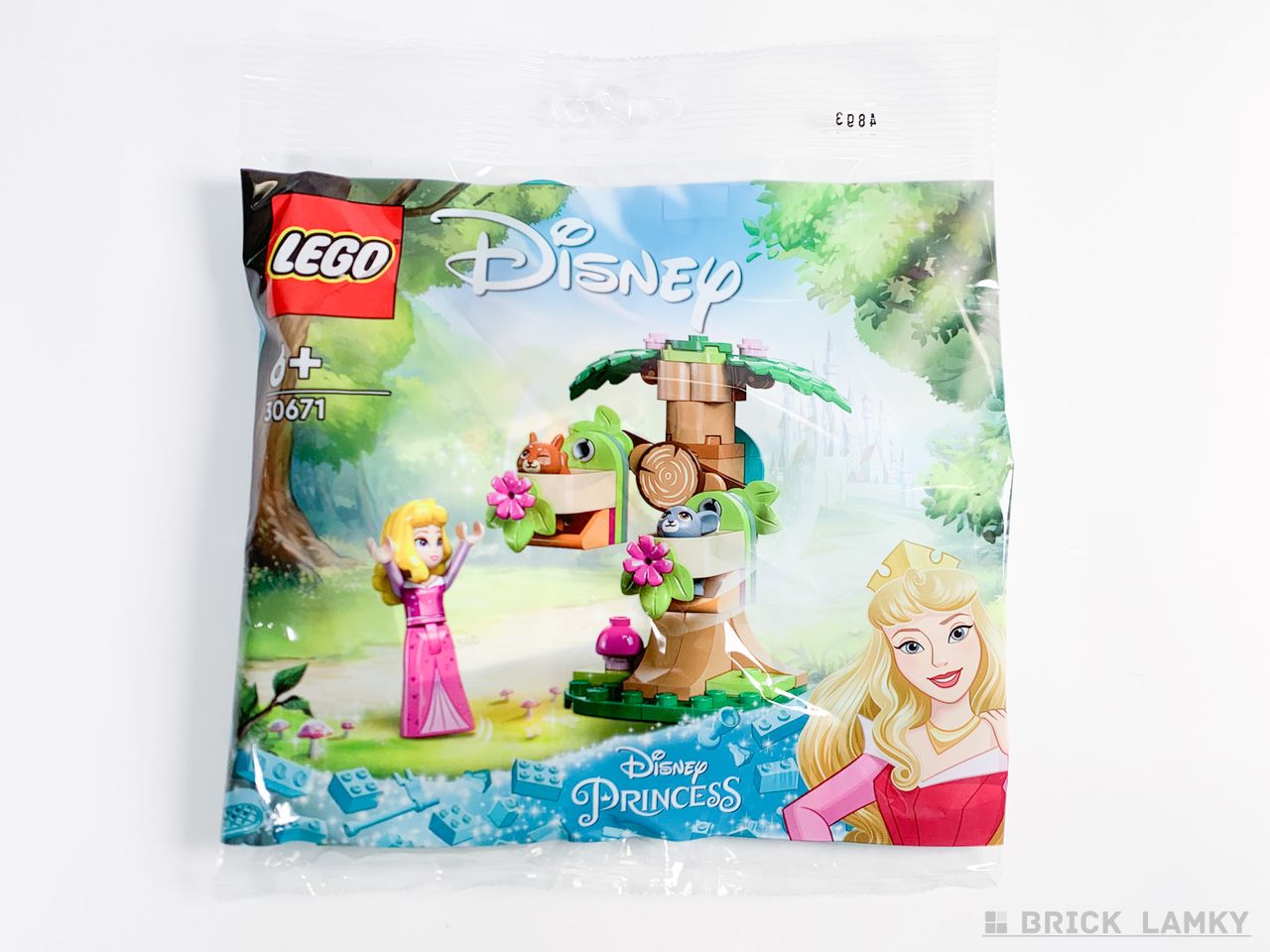 レゴ ディズニープリンセス オーロラ姫の森のプレイグラウンド（30671）パッケージ