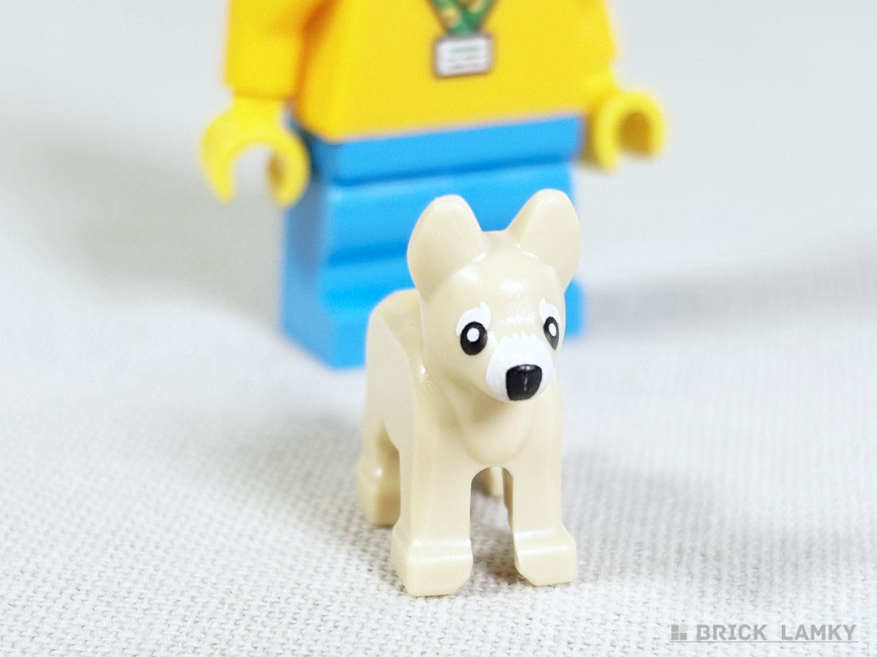 2026年4月の新パーツの犬